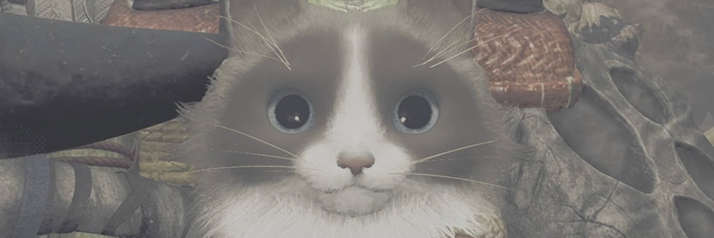 cellnii_'s profile banner image