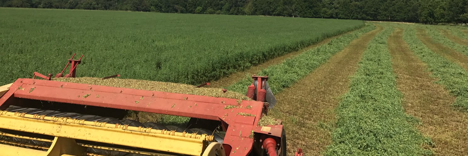 dairyfarmerwill's profile banner image