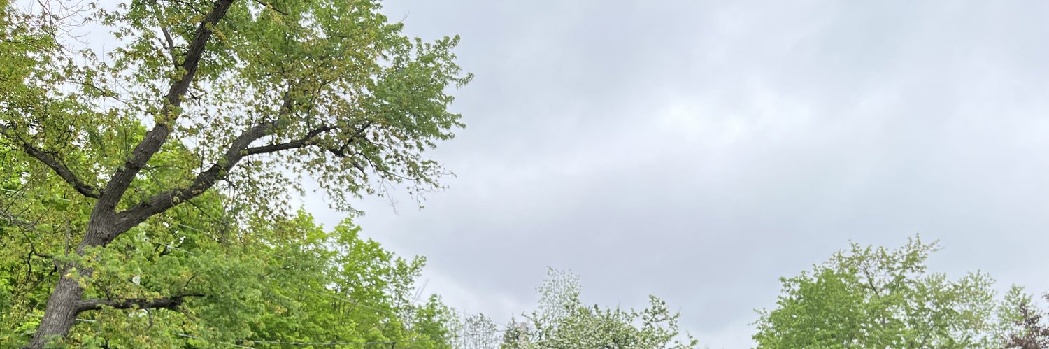 arshad003's profile banner image