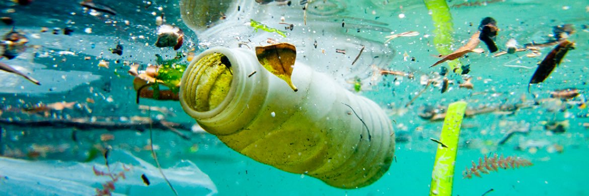 AntiPlasticPpl's profile banner image