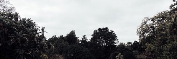 _panski Profile Banner