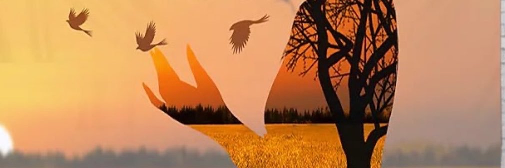 mn_alonazy's profile banner image