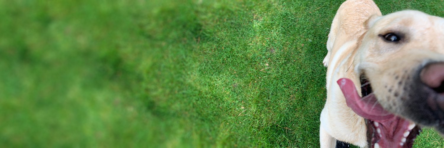 George banner