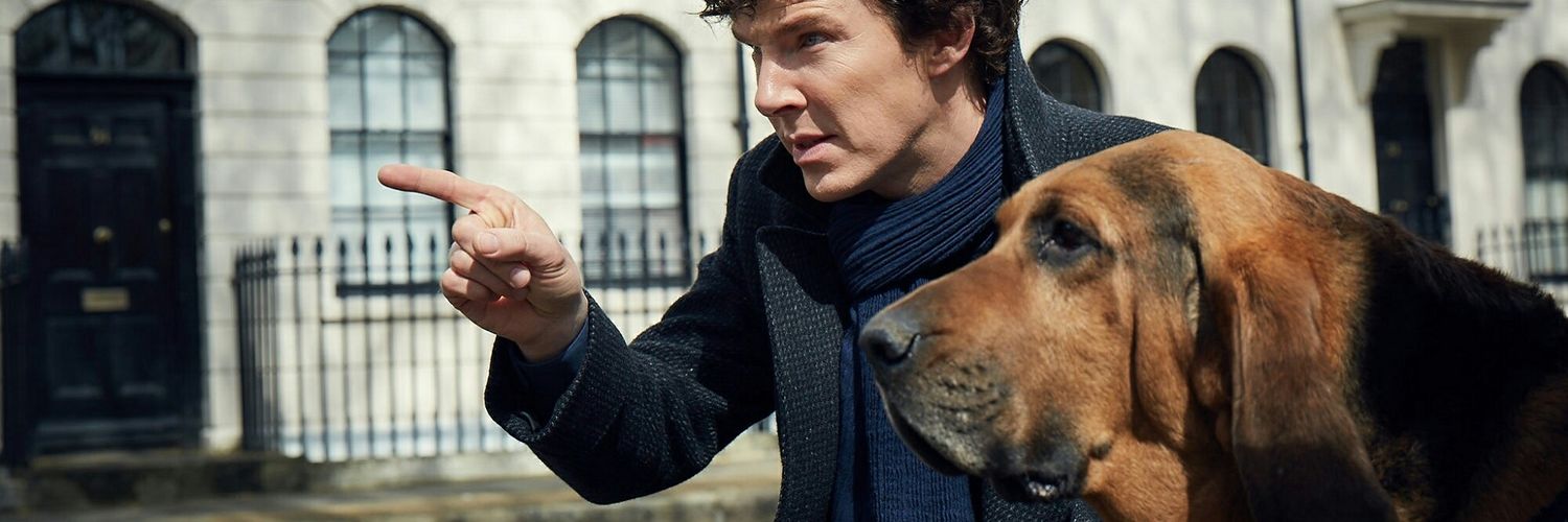 benedictasdogs's profile banner image