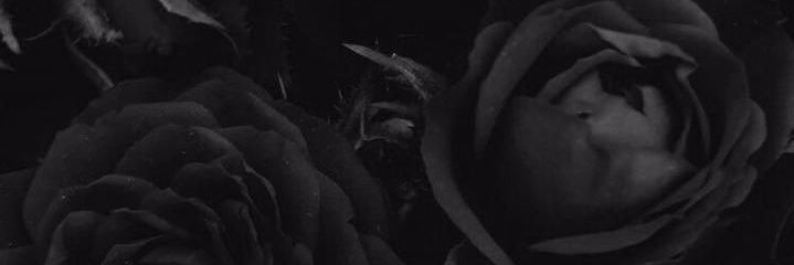emy110e1's profile banner image
