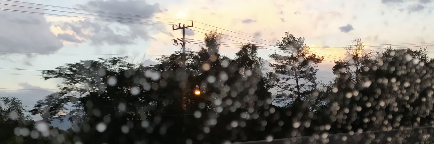 monny_mich's profile banner image