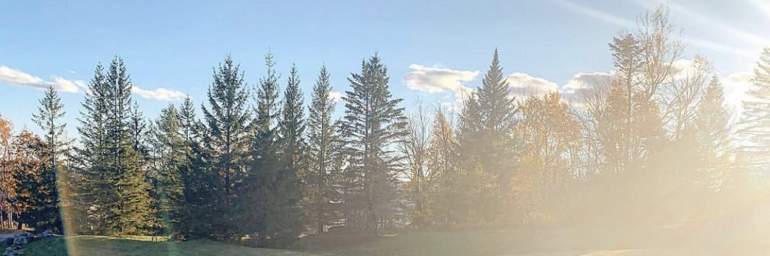 Dina Maiella-Marro banner