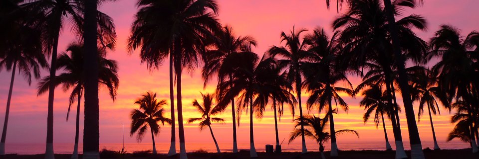 Calijuan94's profile banner image