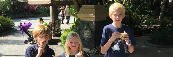 Seebdoos Profile Banner