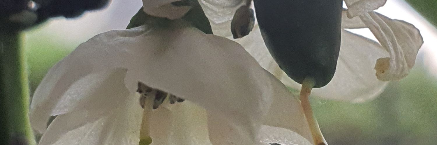 Tone98375591's profile banner image