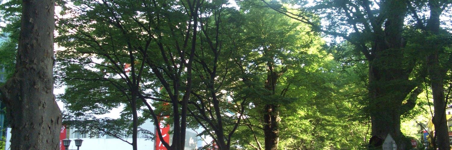 武居利史 TAKEI Toshifumi banner