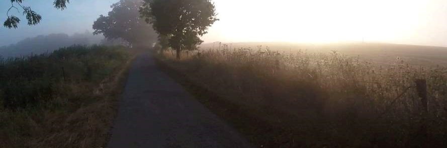colcorona's profile banner image