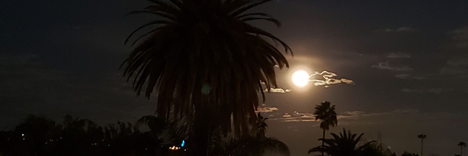 Cedar // MondSly banner