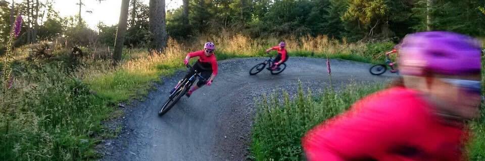 Julia Anderson banner