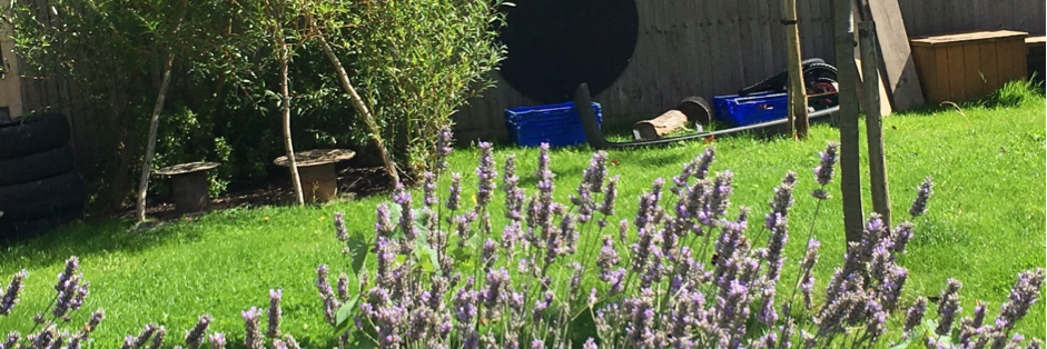 anna ephgrave banner