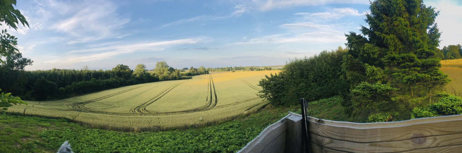 michaelviberg's profile banner image