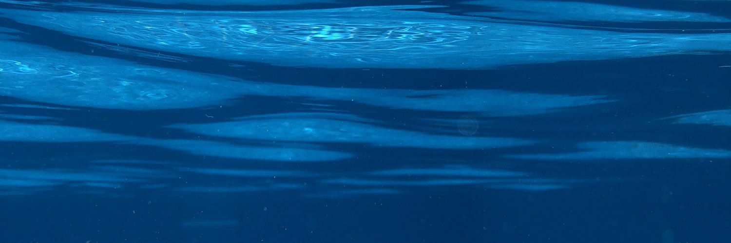 Thaiverissimo's profile banner image