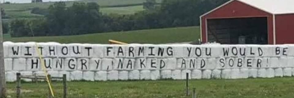 𝙃𝙖𝙗𝙞𝙩𝙪𝙖𝙡 𝙇𝙞𝙣𝙚 𝙎𝙩𝙚𝙥𝙥𝙚𝙧 banner