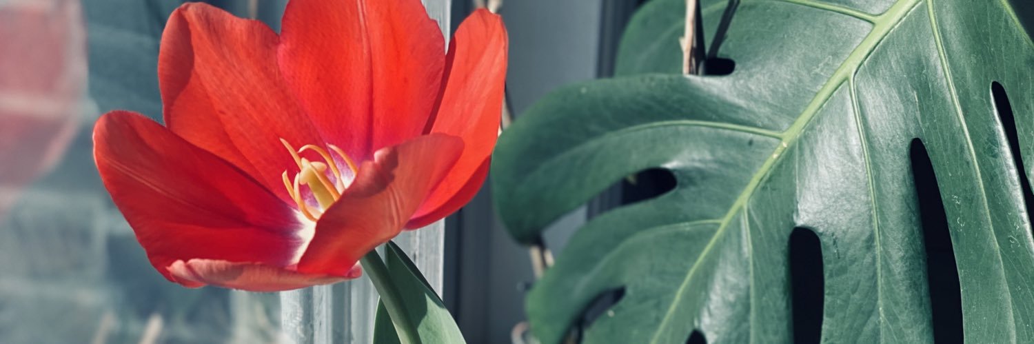 Maria Daniels banner