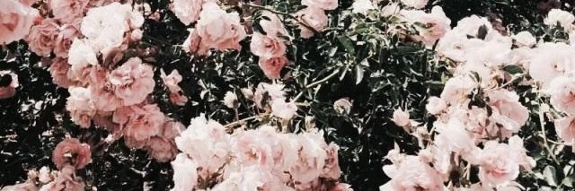 lucasbieber27's profile banner image