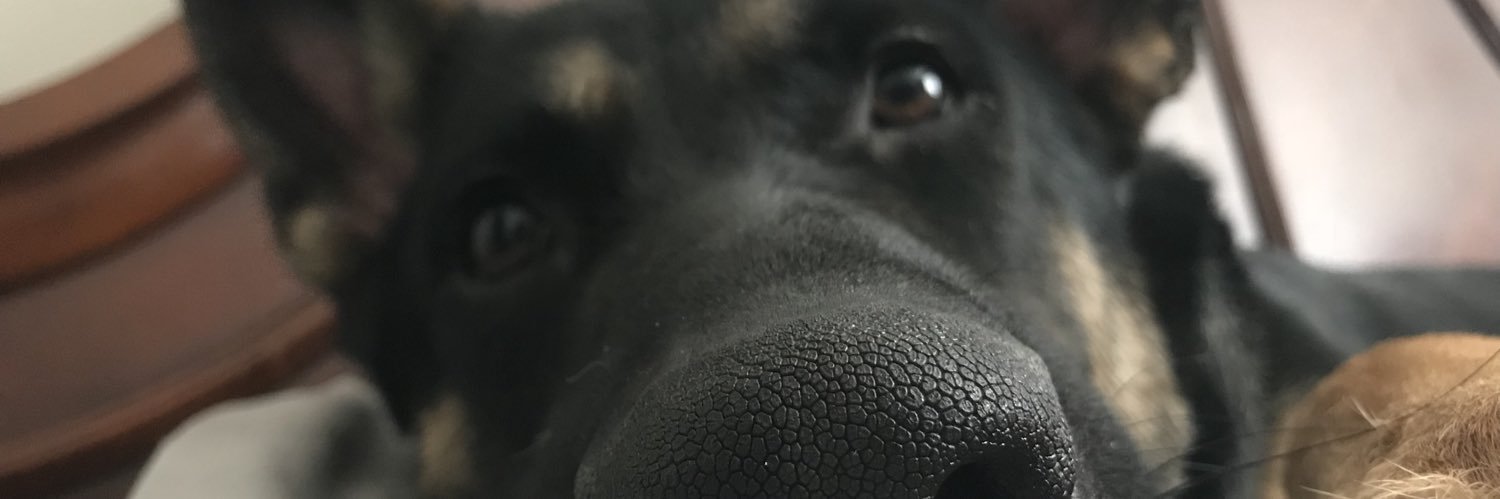 Emily_Anne6's profile banner image