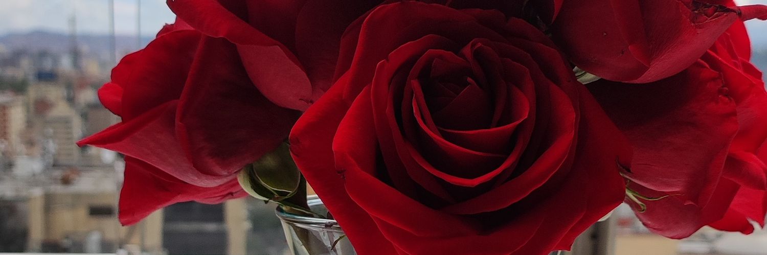 Rosemeryih's profile banner image
