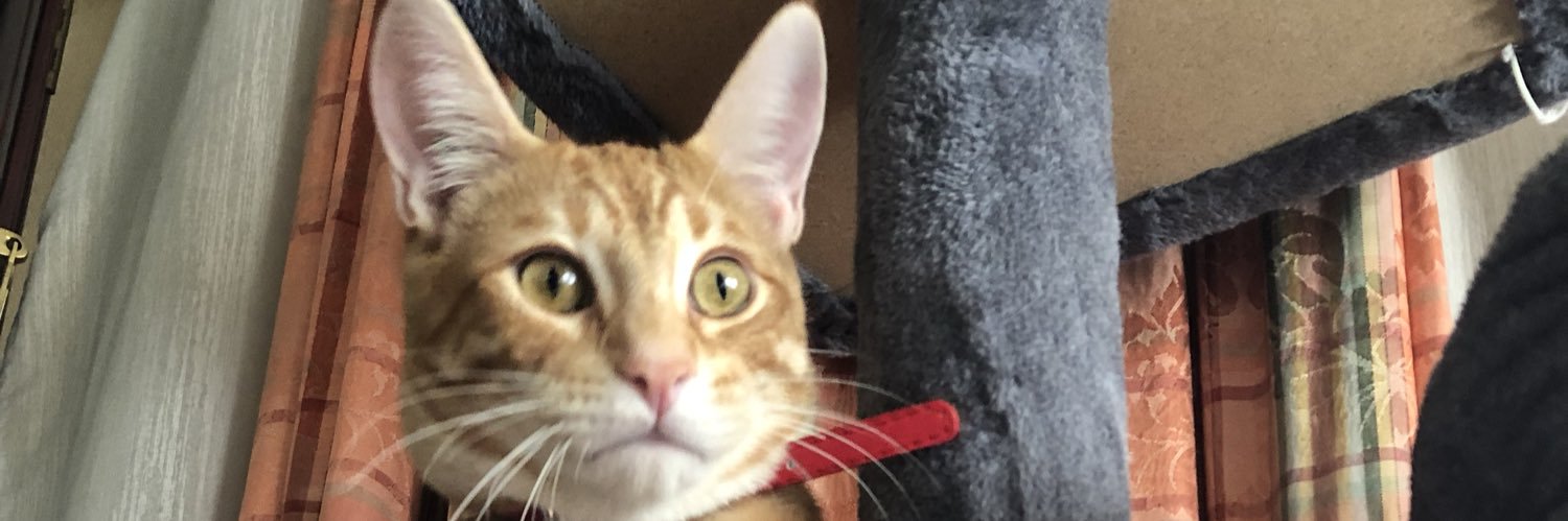 k banner