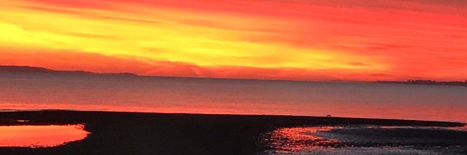 TeamGT29's profile banner image