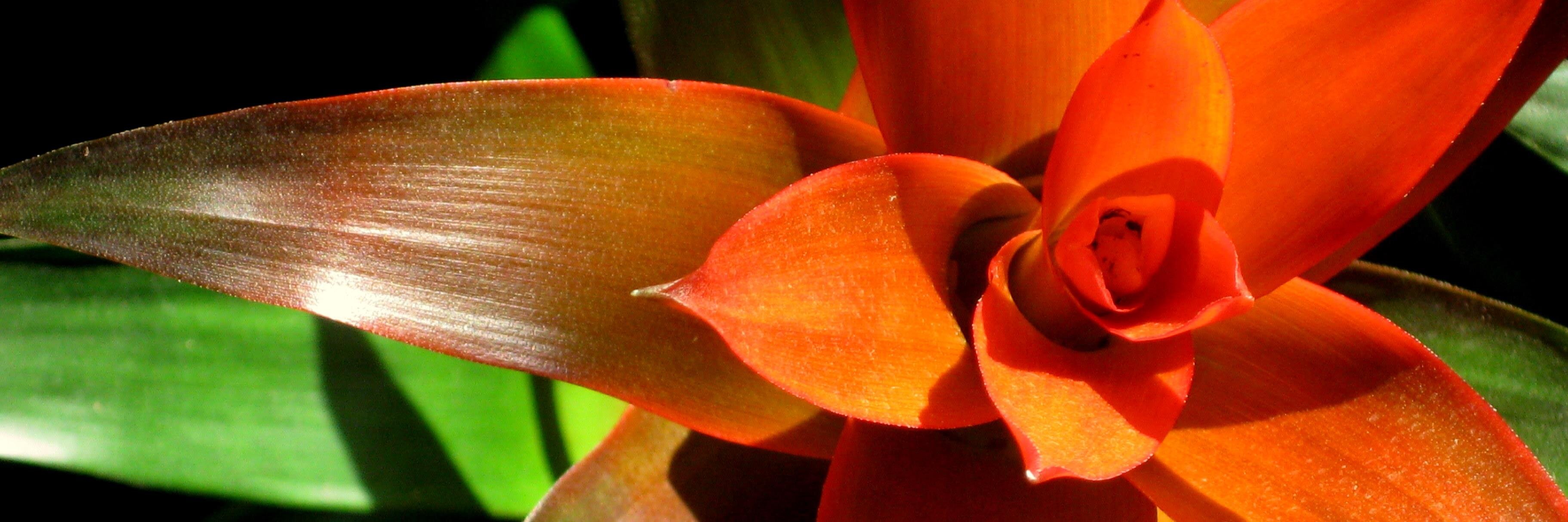 CapIntScapes's profile banner image