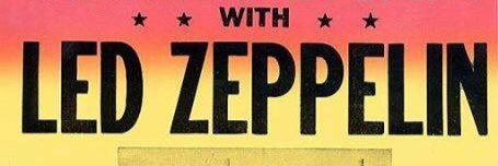 Beezy banner