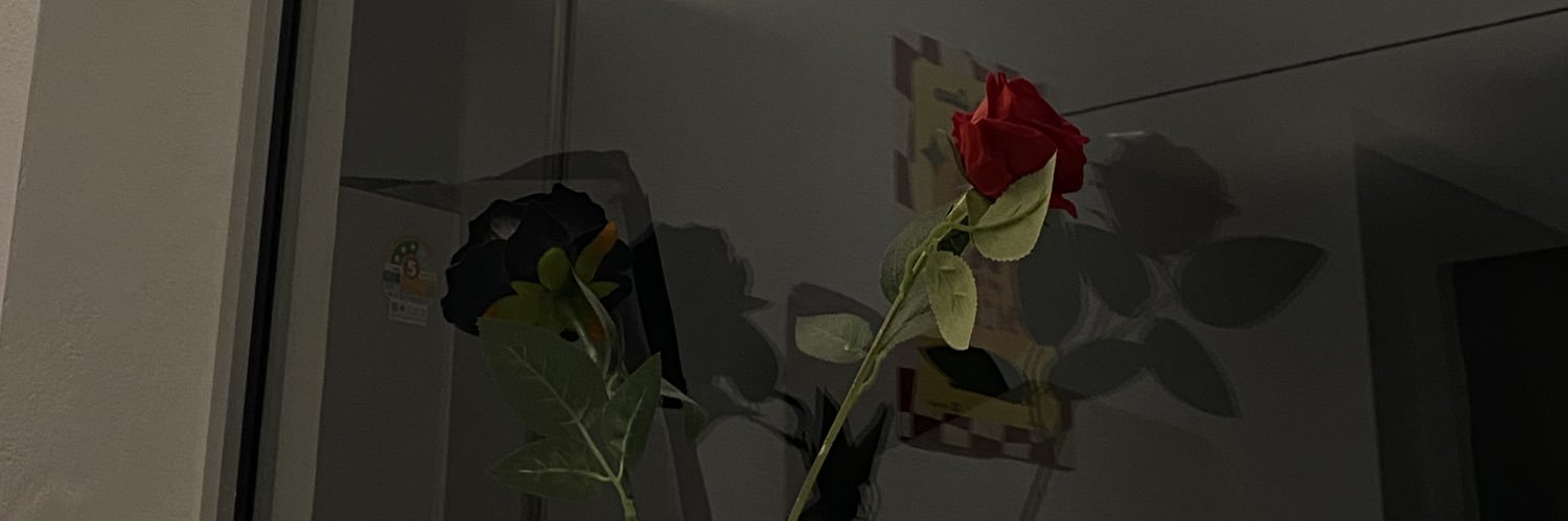 NCSYFBY's profile banner image
