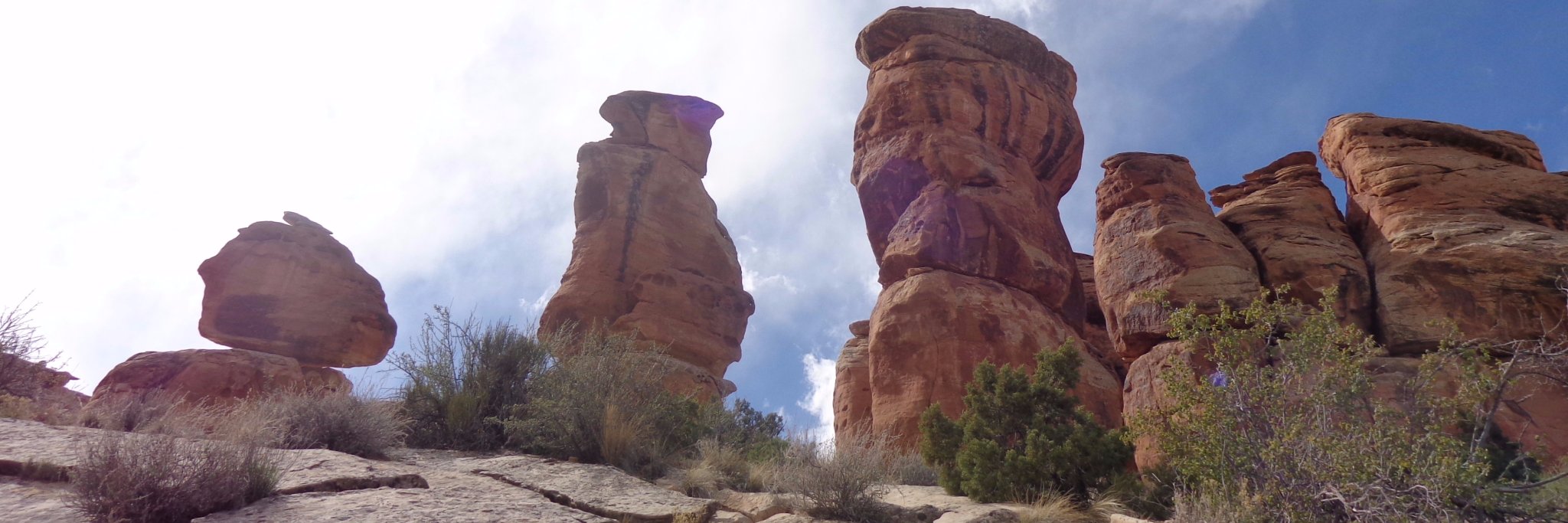 Indivisible GJ banner