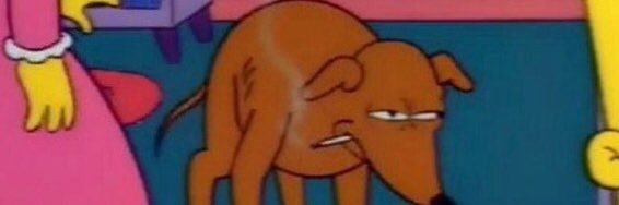 Rey de la mufa banner