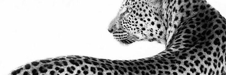 gbrlg's profile banner image
