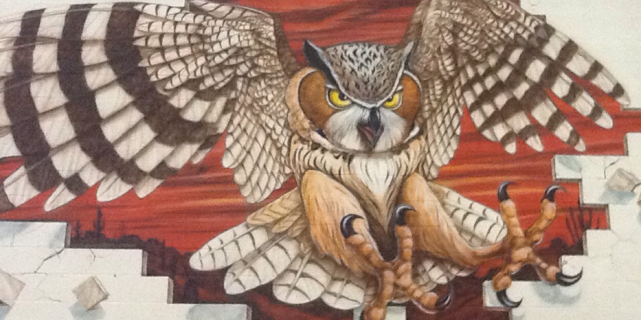 AFHootieOwl's profile banner image