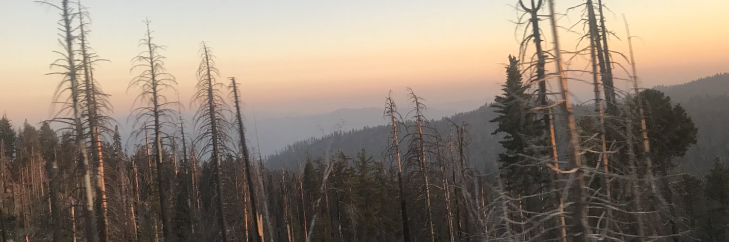 ElSwindlehurstx's profile banner image