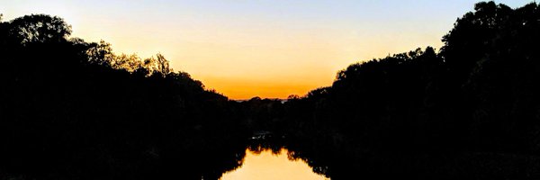 DaveParr Profile Banner