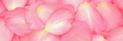 BausLadyG's profile banner image