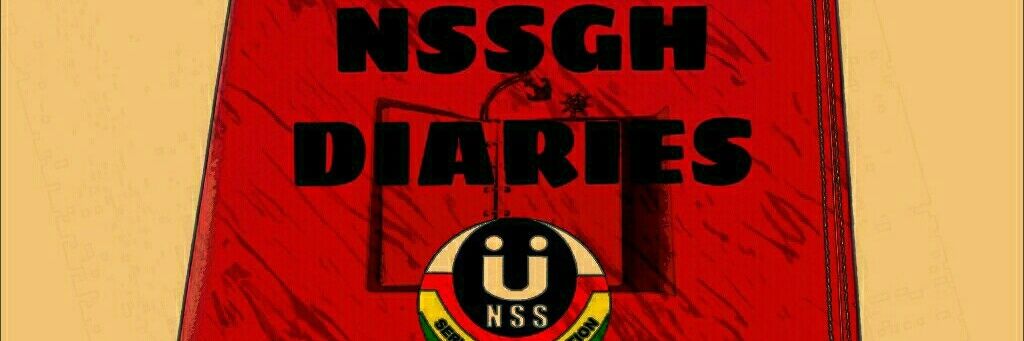 Nssgh Diaries banner