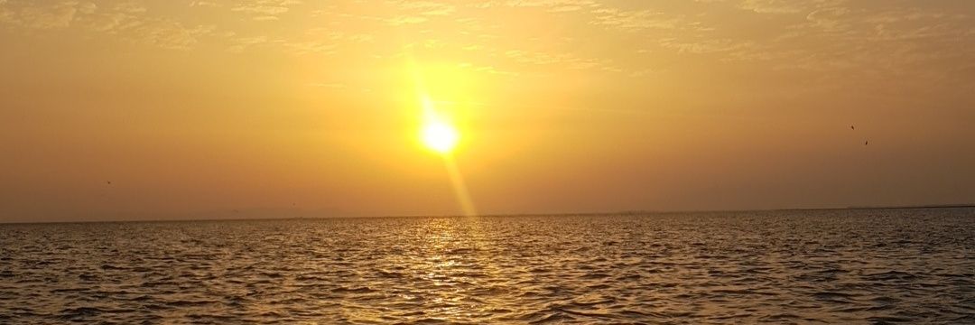 eminogull's profile banner image