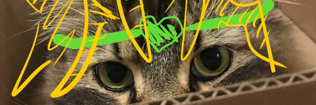BestCatTabasco's profile banner image