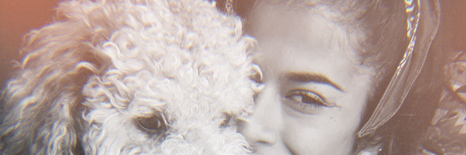 IrinaGudelevich's profile banner image