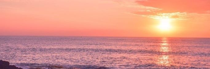 WJTLshu's profile banner image