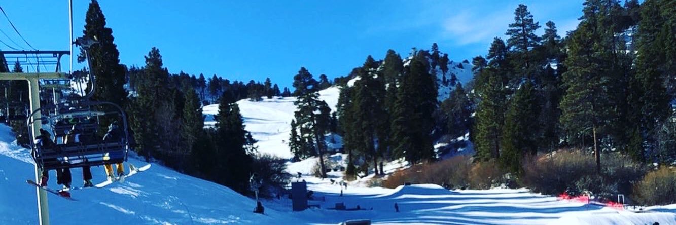 annie barrionuevo banner