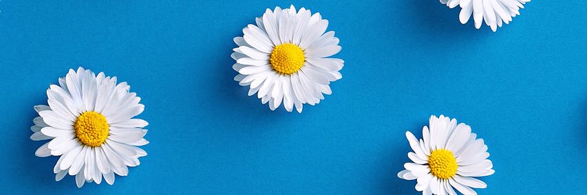 coloncola's profile banner image