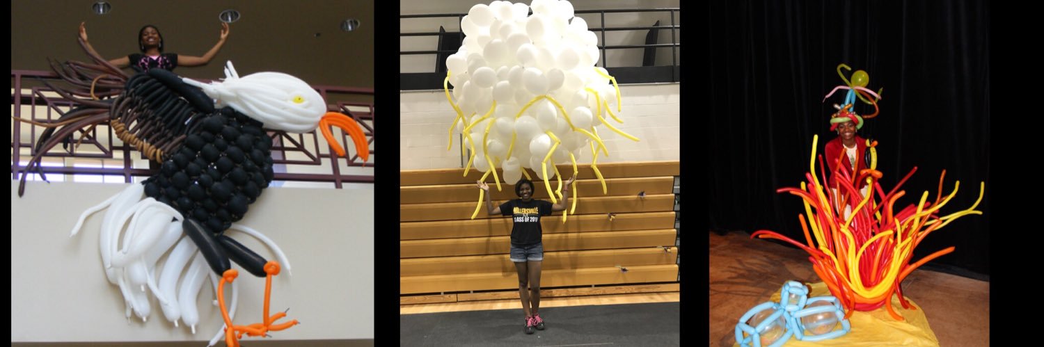 Amber Liggett, MSEM banner