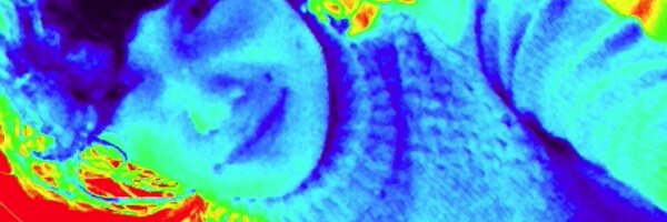 GmaSb Profile Banner