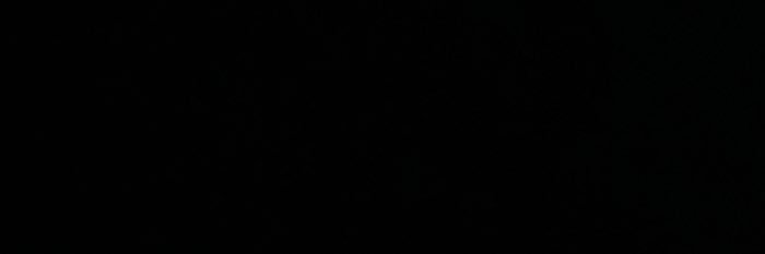 Willy Cranston banner