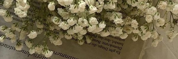 eyldw's profile banner image
