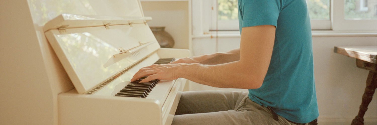 Silver Darter banner